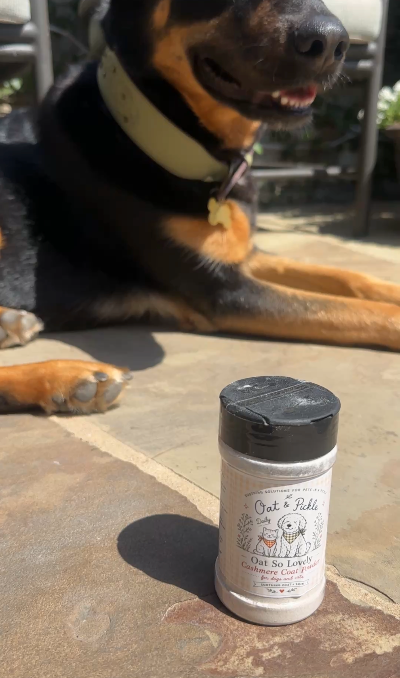 Oat So Lovely Anti-Itch Oatmeal Powder for Dogs & Cats